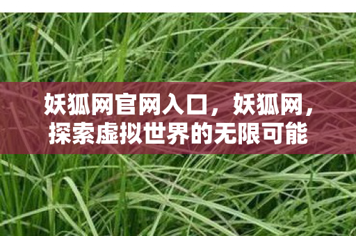 妖狐网官网入口，妖狐网，探索虚拟世界的无限可能
