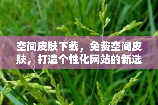 空间皮肤下载，免费空间皮肤，打造个性化网站的新选择