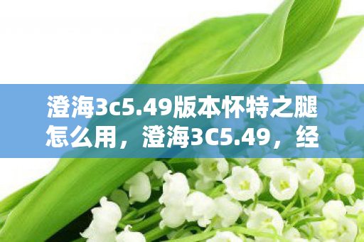 澄海3c5.49版本怀特之腿怎么用，澄海3C5.49，经典再现，策略与激情的碰撞