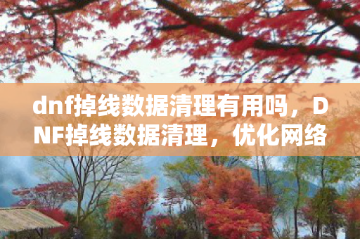 dnf掉线数据清理有用吗，DNF掉线数据清理，优化网络环境，提升游戏体验
