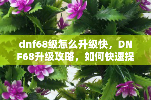 dnf68级怎么升级快，DNF68升级攻略，如何快速提升角色等级