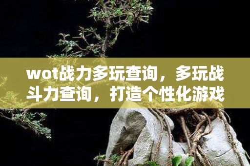 wot战力多玩查询，多玩战斗力查询，打造个性化游戏角色，提升战斗力的秘密武器
