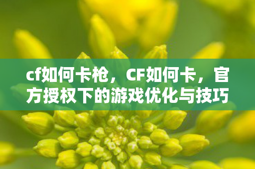 cf如何卡枪，CF如何卡，官方授权下的游戏优化与技巧