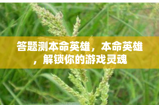 答题测本命英雄，本命英雄，解锁你的游戏灵魂
