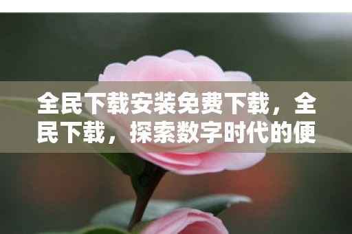全民下载安装免费下载，全民下载，探索数字时代的便捷与无限可能