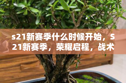 s21新赛季什么时候开始，S21新赛季，荣耀启程，战术与策略的全面升级