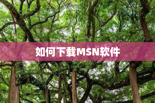 如何下载MSN软件 如何下载MSN软件