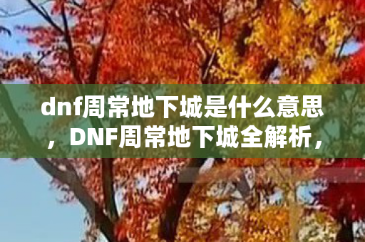 dnf周常地下城是什么意思，DNF周常地下城全解析，挑战与机遇并存