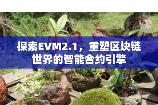 探索EVM2.1，重塑区块链世界的智能合约引擎