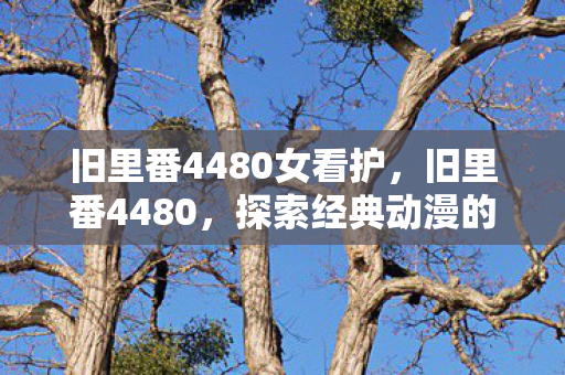 旧里番4480女看护，旧里番4480，探索经典动漫的怀旧之旅