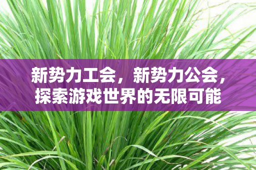 新势力工会，新势力公会，探索游戏世界的无限可能