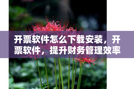 开票软件怎么下载安装，开票软件，提升财务管理效率的关键工具