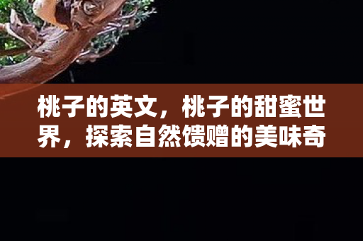 桃子的英文，桃子的甜蜜世界，探索自然馈赠的美味奇迹