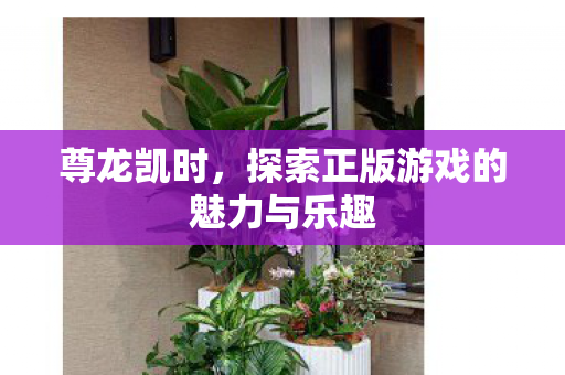 尊龙凯时，探索正版游戏的魅力与乐趣