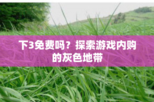 下3免费吗？探索游戏内购的灰色地带