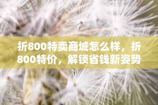 折800特卖商城怎么样，折800特价，解锁省钱新姿势，尽享超值优惠！