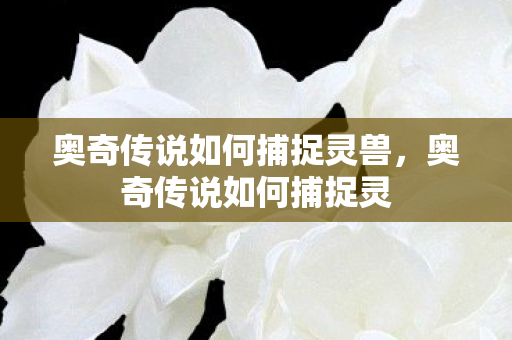 奥奇传说如何捕捉灵兽，奥奇传说如何捕捉灵