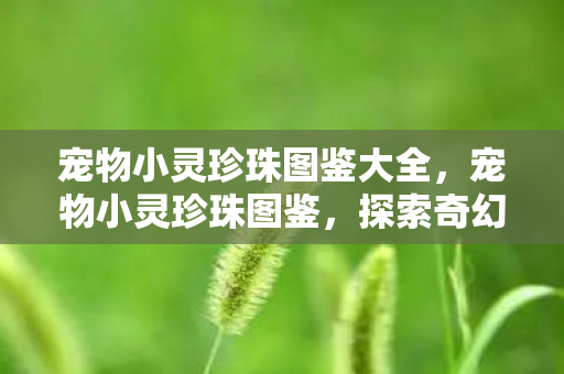 宠物小灵珍珠图鉴大全，宠物小灵珍珠图鉴，探索奇幻世界的璀璨明珠