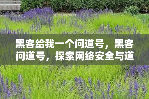 黑客给我一个问道号，黑客问道号，探索网络安全与道德边界的灰色领域