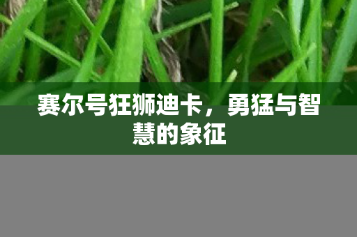 赛尔号狂狮迪卡,勇猛与智慧的象征 赛尔号狂狮迪卡,勇猛与智慧的象征
