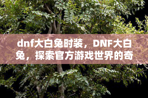 dnf大白兔时装，DNF大白兔，探索官方游戏世界的奇妙之旅