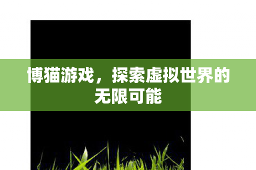 博猫游戏，探索虚拟世界的无限可能