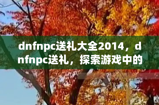 dnfnpc送礼大全2014，dnfnpc送礼，探索游戏中的惊喜与温情