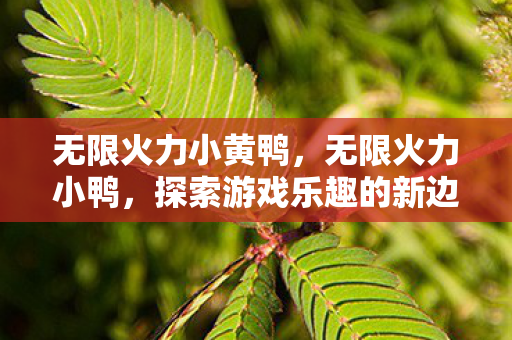 无限火力小黄鸭，无限火力小鸭，探索游戏乐趣的新边界