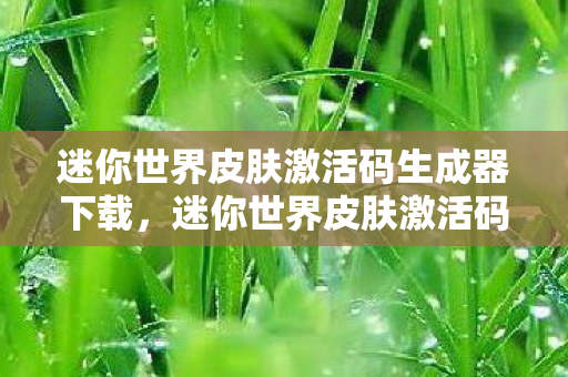 迷你世界皮肤激活码生成器下载，迷你世界皮肤激活码生成器，解锁无限可能的创意之旅