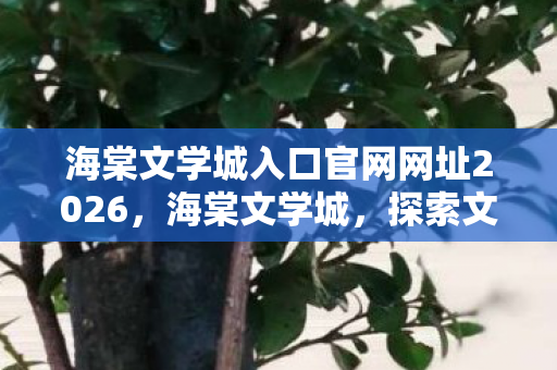 海棠文学城入口官网网址2026，海棠文学城，探索文学世界的神秘入口