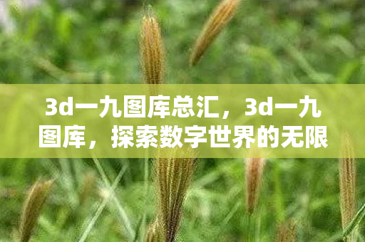 3d一九图库总汇，3d一九图库，探索数字世界的无限可能