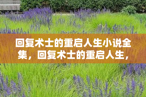 回复术士的重启人生小说全集，回复术士的重启人生，重启之旅的奥秘