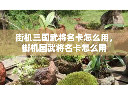 街机三国武将名卡怎么用，街机国武将名卡怎么用