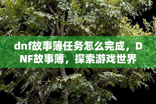 dnf故事簿任务怎么完成，DNF故事簿，探索游戏世界的深度与广度
