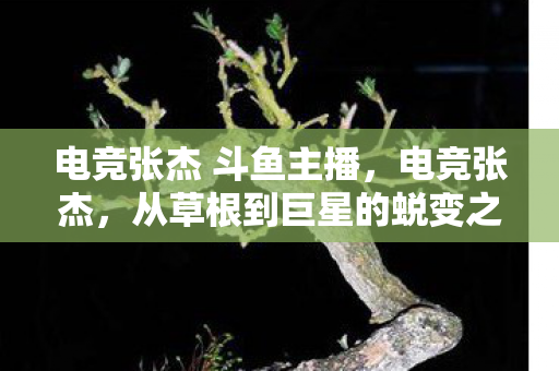 电竞张杰 斗鱼主播，电竞张杰，从草根到巨星的蜕变之路