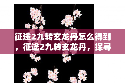 征途2九转玄龙丹怎么得到，征途2九转玄龙丹，探寻游戏中的神秘丹药