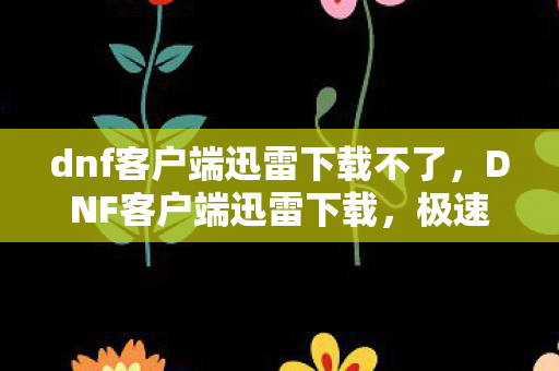 dnf客户端迅雷下载不了，DNF客户端迅雷下载，极速体验与官方渠道的优选
