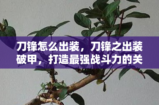 刀锋怎么出装，刀锋之出装破甲，打造最强战斗力的关键