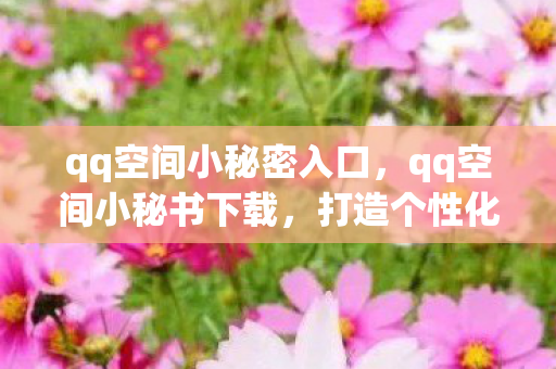 qq空间小秘密入口，qq空间小秘书下载，打造个性化空间的必备工具