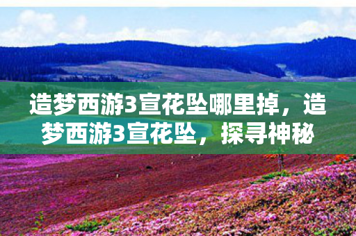 造梦西游3宣花坠哪里掉，造梦西游3宣花坠，探寻神秘法宝的传奇之旅