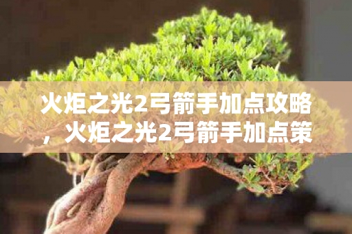 火炬之光2弓箭手加点攻略，火炬之光2弓箭手加点策略