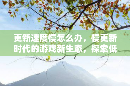 更新速度慢怎么办，慢更新时代的游戏新生态，探索低频率更新背后的奥秘