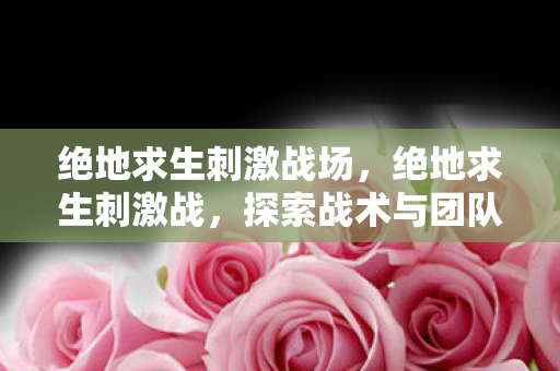 绝地求生刺激战场，绝地求生刺激战，探索战术与团队合作的极致
