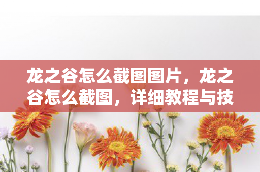 龙之谷怎么截图图片，龙之谷怎么截图，详细教程与技巧分享