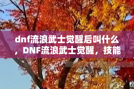 dnf流浪武士觉醒后叫什么，DNF流浪武士觉醒，技能解析与实战应用