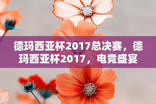 德玛西亚杯2017总决赛，德玛西亚杯2017，电竞盛宴的回顾与前瞻