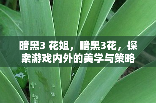 暗黑3 花姐，暗黑3花，探索游戏内外的美学与策略