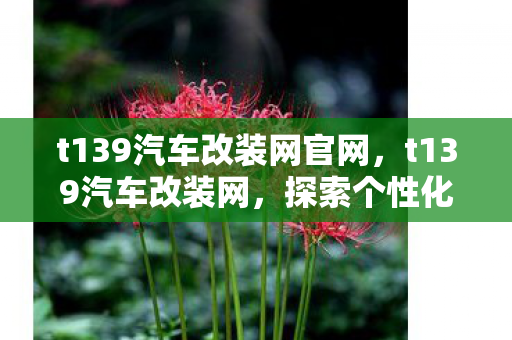 t139汽车改装网官网，t139汽车改装网，探索个性化驾驶的无限可能