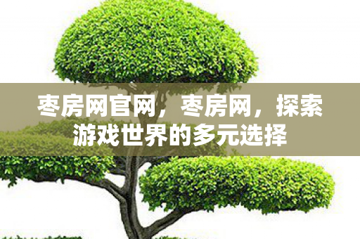 枣房网官网，枣房网，探索游戏世界的多元选择