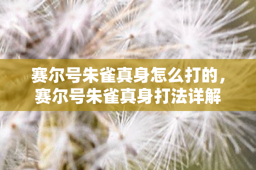 赛尔号朱雀真身怎么打的，赛尔号朱雀真身打法详解